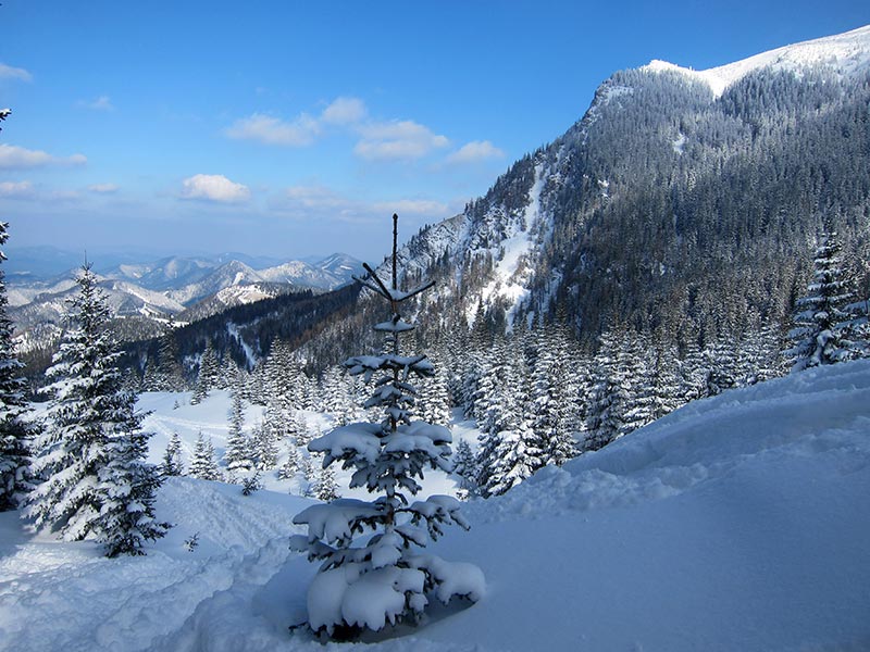 Kuhschneeberg